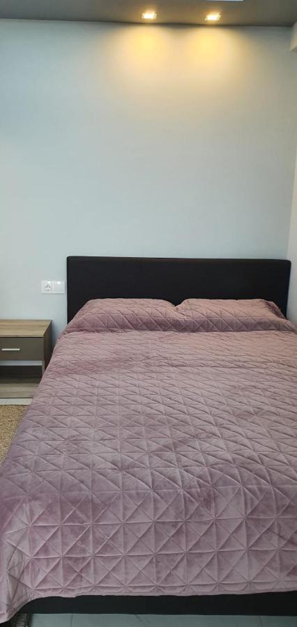 Apartmani Dedalus Paralía エクステリア 写真