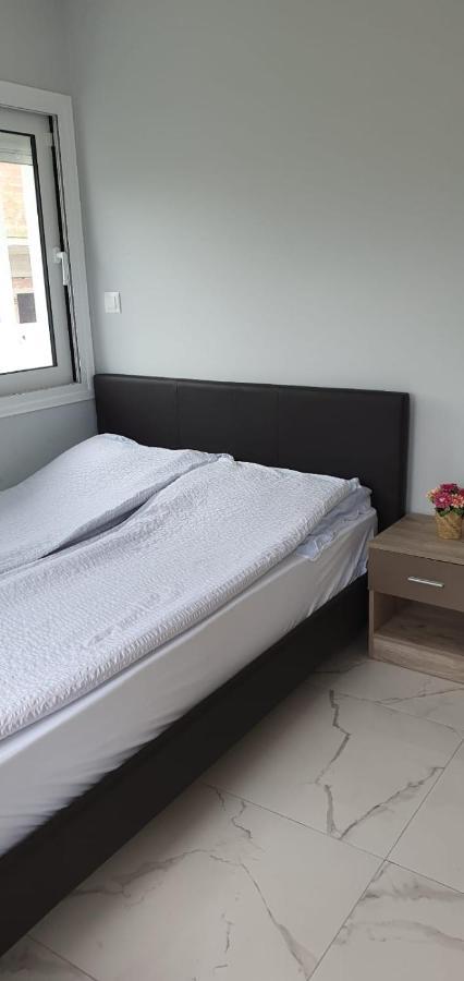 Apartmani Dedalus Paralía エクステリア 写真